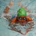 A swimmer competes during the second day of the Washtenaw Interclub Swim Conference Championships on Tuesday, July 23. Daniel Brenner I AnnArbor.com